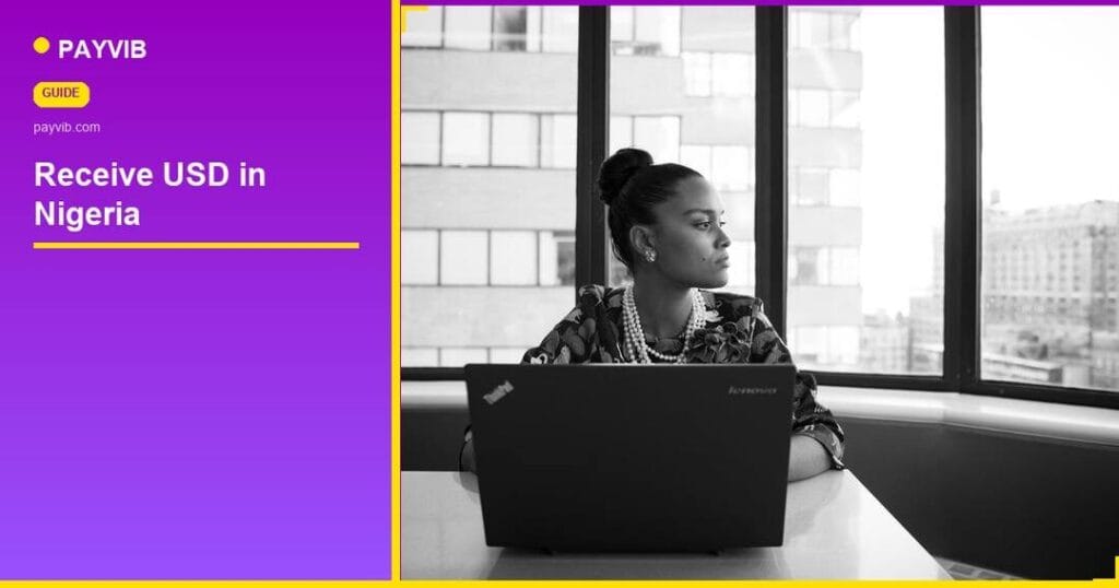 receive USD in Nigeria — Payvib