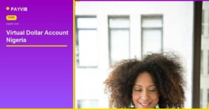 virtual dollar account Nigeria - Payvib
